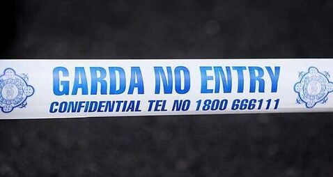Man (40s) arrested after assault of man (50s) in Co Carlow