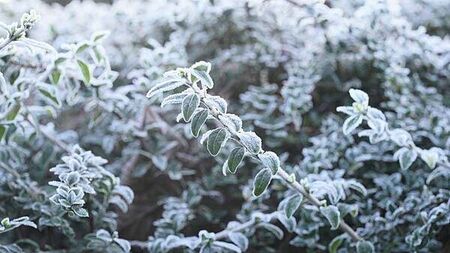 Storm Goretti: Snow and rain warning in place for four counties