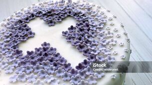 <p>Illustration purposes only</p>