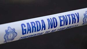 Gardaí appeal for witnesses following gun attack in Limerick