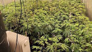 Landlord Marc Godart brought to court 'kicking and screaming' to pay ex-tenants