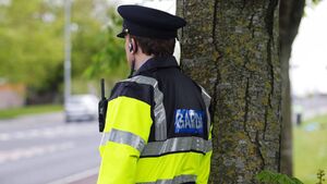 More cocaine being seized in local drug busts