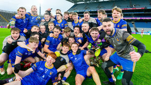 Man Utd knocked out of FA Cup by Brighton to end hopes of silverware this season