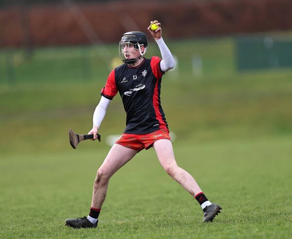 Ruarc O'Neill had a fine first half for PDLS Baenalstown in the South Leinster SHC 'C' clash with Carnew.