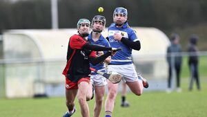South Leinster journey ends for Pres De La Salle Bagenalstown hurlers