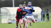 South Leinster journey ends for Pres De La Salle Bagenalstown hurlers