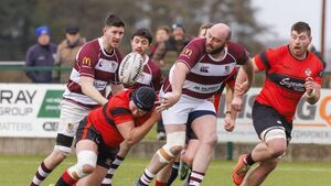 Tullamore too strong for Tullow but three late tries salvage double bonus-point