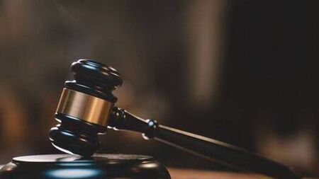 Woman admits taking dump in garda van – but she wasn’t in court for that!
