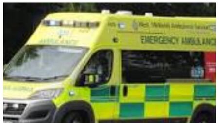Man assaulted on Staplestown Road