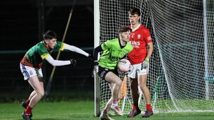 <p>Éire Óg and Carlow goalkeeper Ben McCarron helped UCD qualify for the Sigerson Cup quarter-finals Photo: Pat Ahern</p>