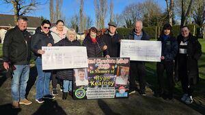 Tinryland lights raises over €27,000