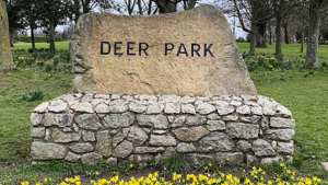 Construction of 14 steps and ramp for Dublin park cost over €750k