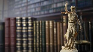 <p>Image for illustration only </p>