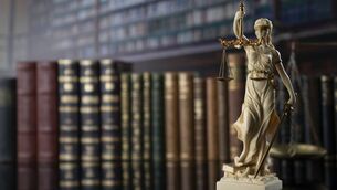 <p>Image for illustration only </p>