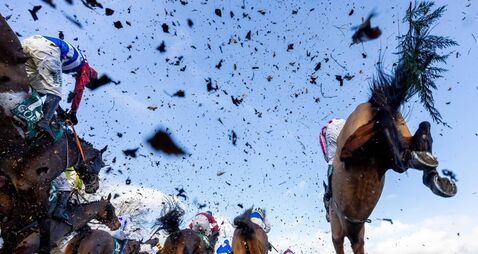 Anticipation builds at Gowran Park for Goffs Thyestes Chase