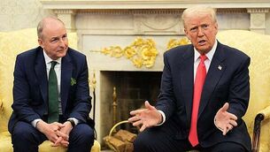 International experts join mass grave excavation at Tuam mother and baby home