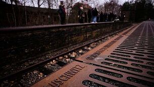 Solicitor claims firm 'jeopardised' by alleged decision to pause 'golden visas'