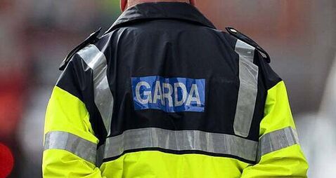 Garda operation results in deportation of 25 non-Irish sex offenders