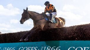 <p>Paul Townend on Nick Rockett won last year's Goffs Thyestes Handicap Steeplechase (Grade C) Photo: ©INPHO/Morgan Treacy</p>
