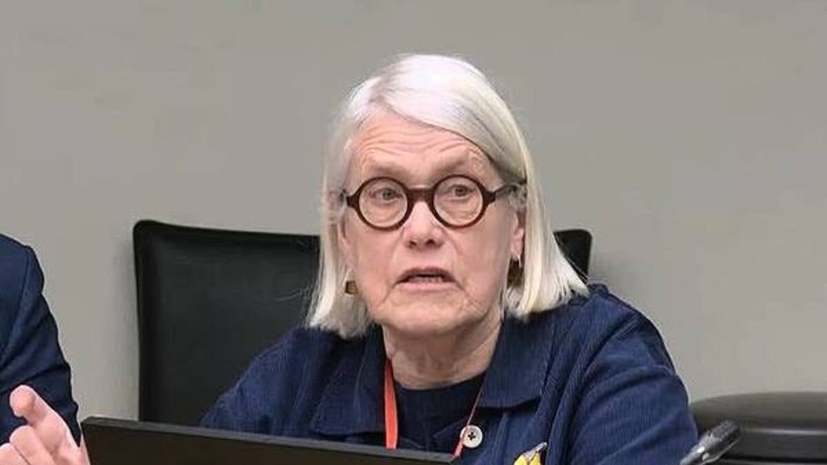Darina Allen says school meals should be sourced locally and made from scratch