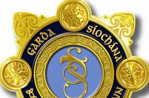 Two men arrested following searches in Carlow and Dublin