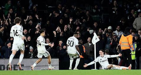Harry Wilson free-kick snatches dramatic late win for Fulham over Brighton