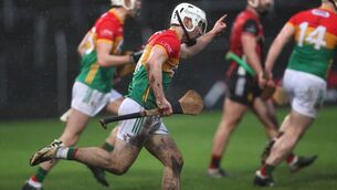 <p>Donagh Murphy celebrates scoring his goal, the Mount Leinster Rangers man contributed 1-4 in Carlow's win over Down</p>