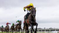 Titans set to collide at the Dublin Racing Festival