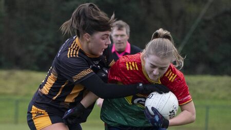 Ní Shé nets hat-trick as Carlow go top of Division 4