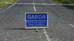 Government cannot fill funding gap at aid agency after USAID cuts, Taoiseach says