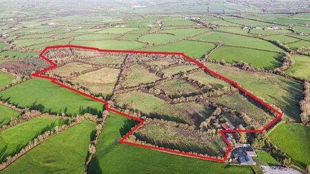 Exceptional 57-Acre Residential & Agricultural Opportunity in Muckalee, Co. Kilkenny