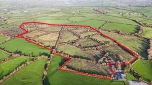 Exceptional 57-Acre Residential & Agricultural Opportunity in Muckalee, Co. Kilkenny