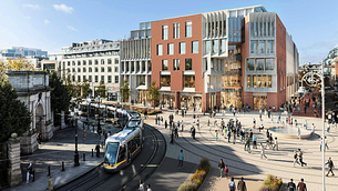 Three men arrested after suspected cannabis plants found in Belfast Three men arrested after suspected cannabis plants found in Belfast