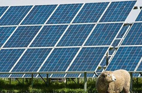 Small solar farm to generate electricity for NUA factory