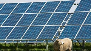 <p>The proposal is to install 0.22 hectares of solar panels</p> <p>The proposal is to install 0.22 hectares of solar panels</p>