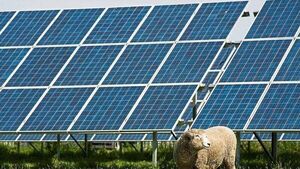 Small solar farm to generate electricity for NUA factory