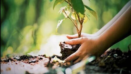 Planting seeds of hope: A spring reflection on faith and renewal