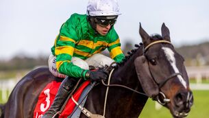 <p>Mark Walsh on the Willie Mullins trained Kaid D’Authie wins The Ladbrokes Novice Steeplechase Photo: ©INPHO/Morgan Treacy</p>