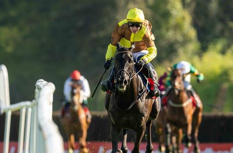 Dublin Racing Festival: Preview and Tips for Monday’s Racing