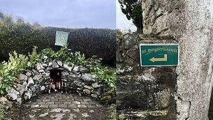 Dublin City Council called out on u-turn for renaming Herzog Park Dublin City Council called out on u-turn for renaming Herzog Park