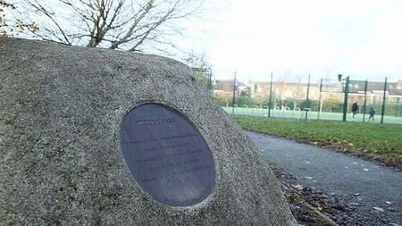 Dublin City Council called out on u-turn for renaming Herzog Park