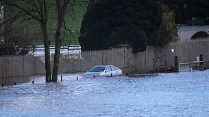Tomb older than the pyramids secures new home at museum