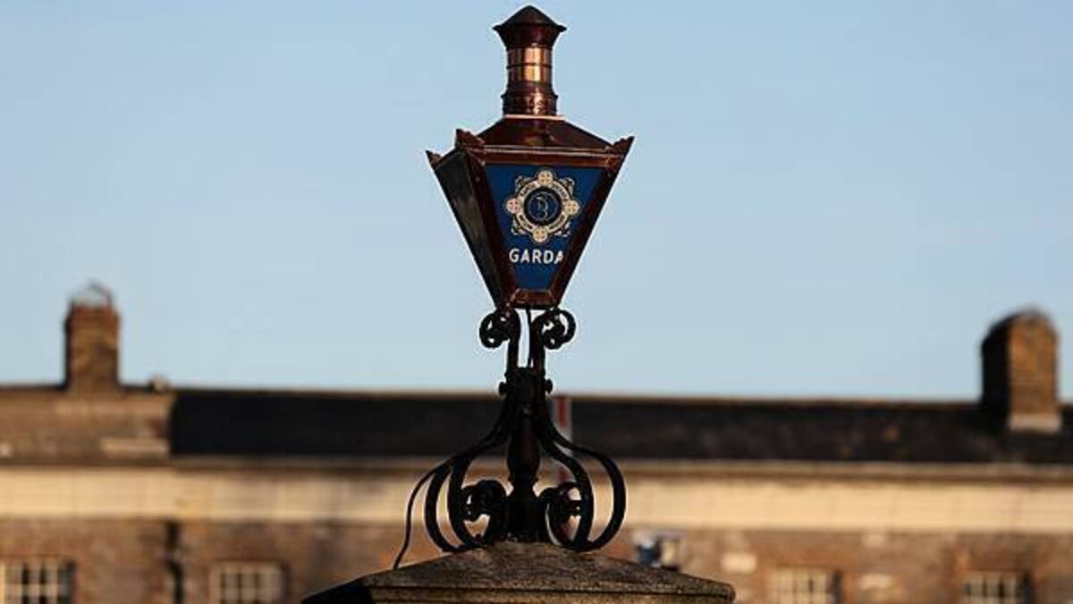Garda who slammed handcuffed teenager's head off the ground is jailed for a year