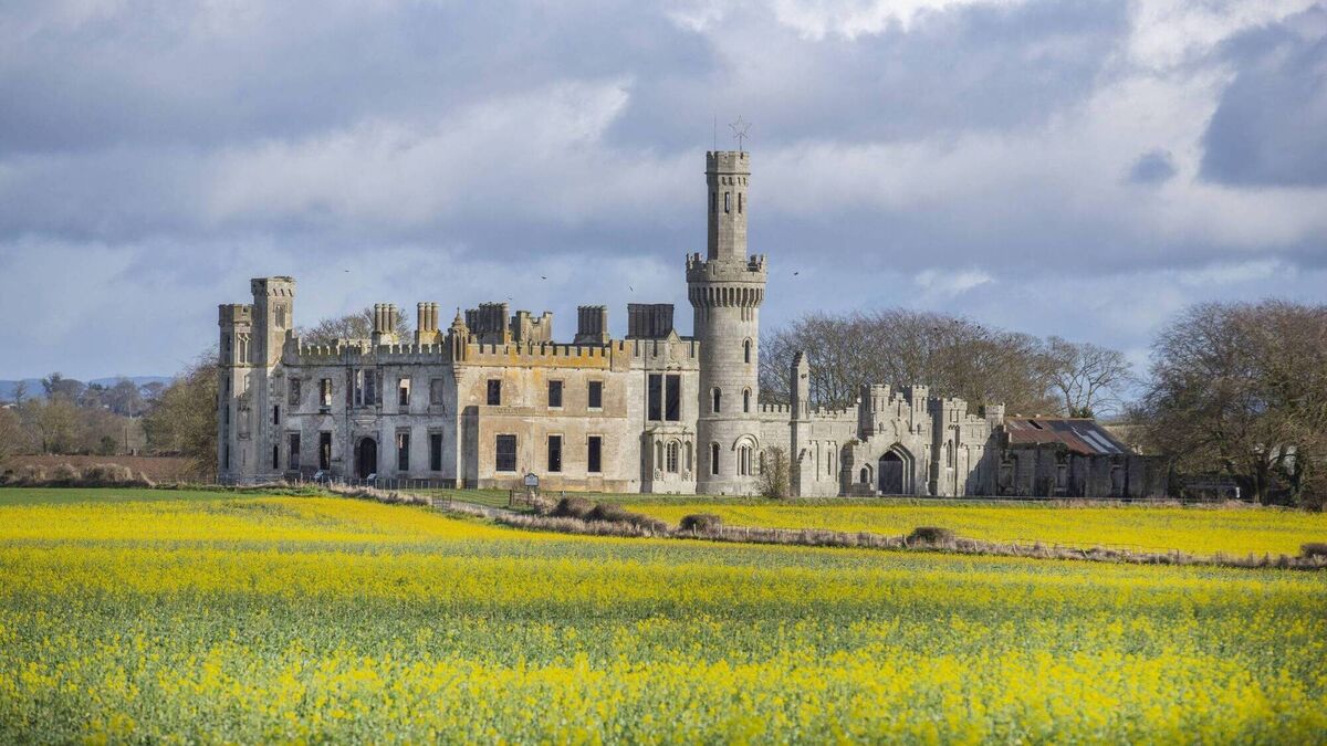 New outdoor structure planned for Duckett’s Grove