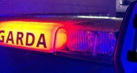 Off-duty garda saw cars driving erratically 