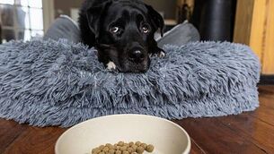 Meath community rallies to stop pitch and putt club from falling into sea