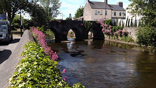 Transgender taxi driver loses discrimination case after being fired over inappropriate comments