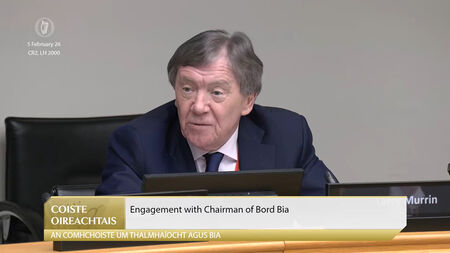 Council passes motion calling on taoiseach to ask Murrin to step down