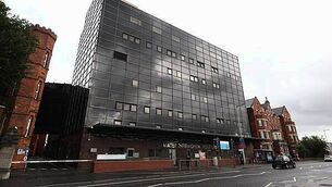 Motorist backs call for signage on Meath road after collision with deer