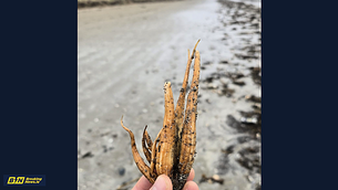 Investigation continues following road crash which claimed four young lives